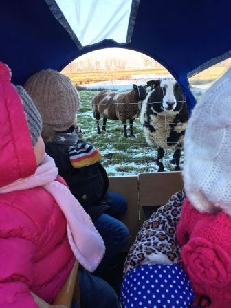 Naar buiten met Gastouder Hasselt